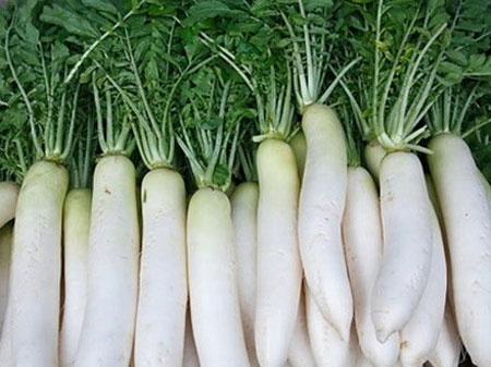 Công dụng tuyệt vời của củ cải trắng
